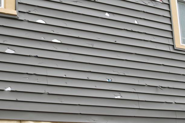 Best Storm Damage Siding Repair  in Daleville, VA