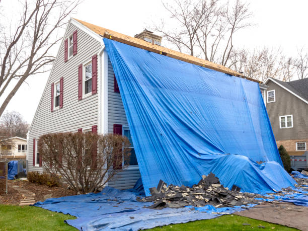 Best Brick Veneer Siding  in Daleville, VA
