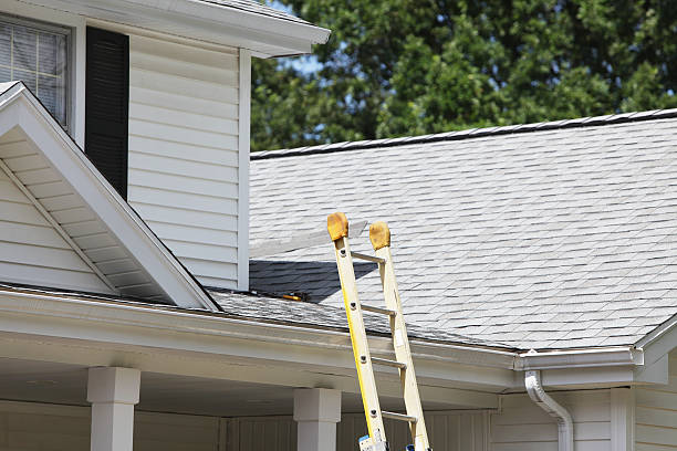 Best Siding Repair  in Daleville, VA