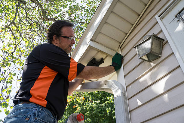 Best Siding Painting and Refinishing  in Daleville, VA